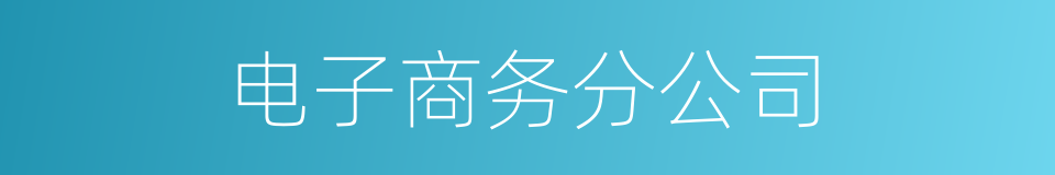 电子商务分公司的同义词