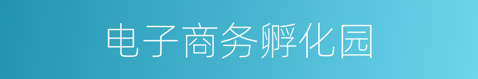 电子商务孵化园的同义词