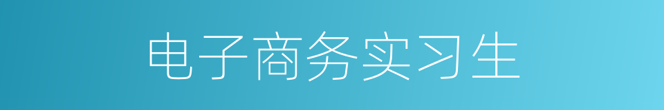 电子商务实习生的同义词