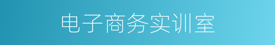 电子商务实训室的同义词