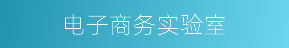 电子商务实验室的同义词