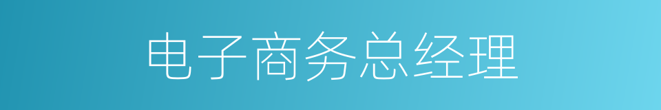 电子商务总经理的同义词