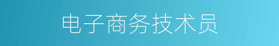 电子商务技术员的同义词