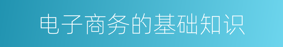 电子商务的基础知识的同义词