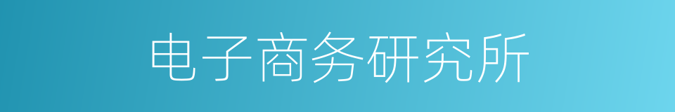 电子商务研究所的同义词