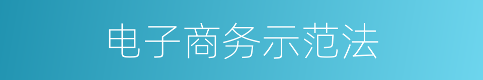 电子商务示范法的同义词