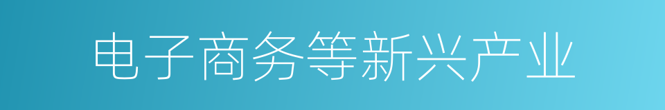 电子商务等新兴产业的同义词