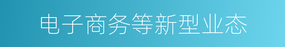 电子商务等新型业态的同义词