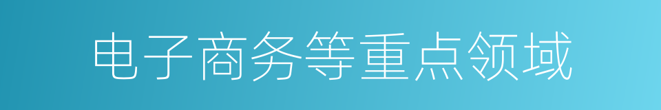 电子商务等重点领域的同义词