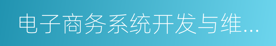 电子商务系统开发与维护工作的同义词