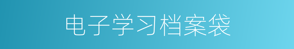 电子学习档案袋的同义词