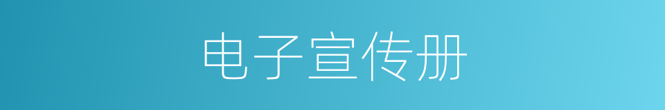 电子宣传册的同义词