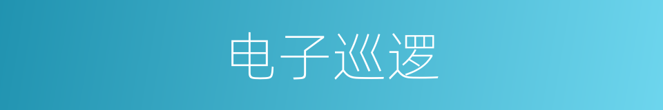 电子巡逻的同义词