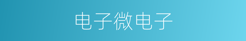 电子微电子的同义词