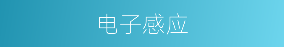 电子感应的同义词