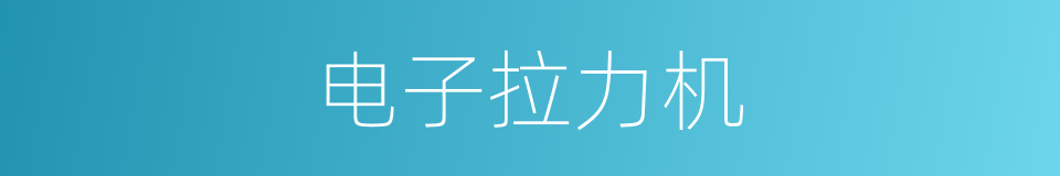电子拉力机的同义词