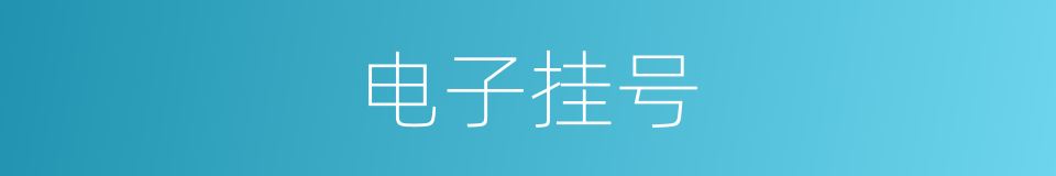 电子挂号的同义词