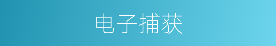 电子捕获的同义词