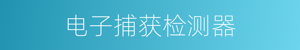 电子捕获检测器的同义词