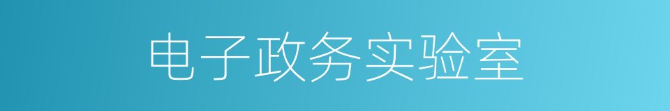 电子政务实验室的同义词