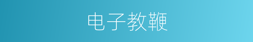 电子教鞭的同义词