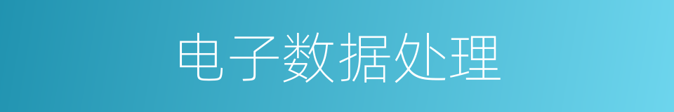 电子数据处理的同义词