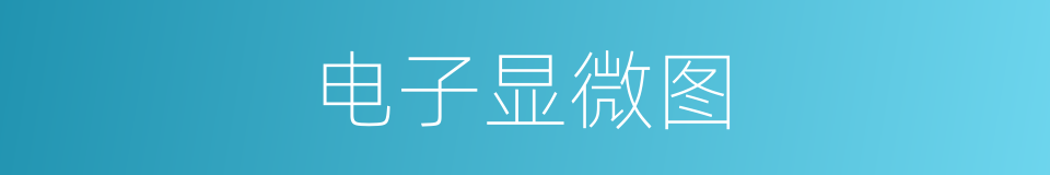 电子显微图的同义词