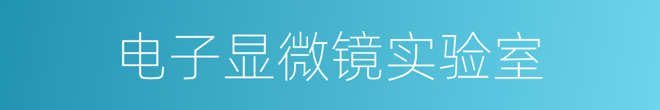 电子显微镜实验室的同义词