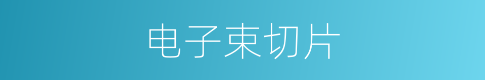 电子束切片的同义词