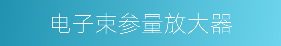 电子束参量放大器的同义词