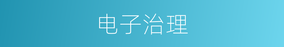 电子治理的同义词