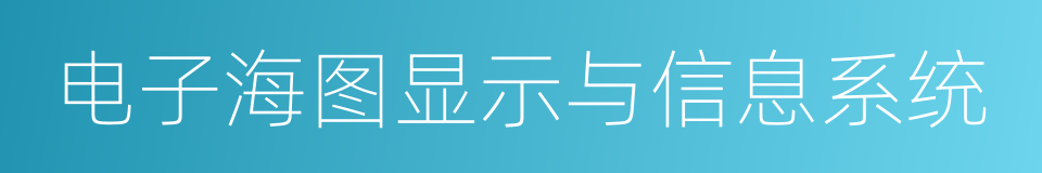 电子海图显示与信息系统的同义词