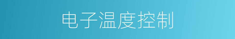 电子温度控制的同义词