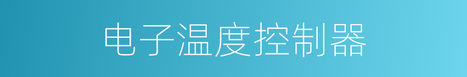 电子温度控制器的同义词