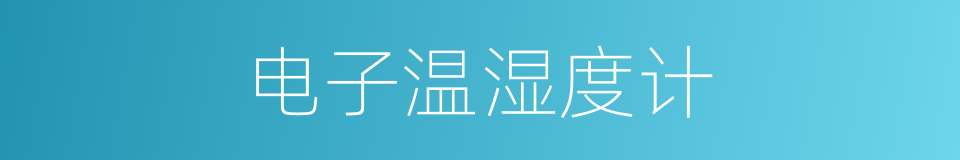 电子温湿度计的同义词