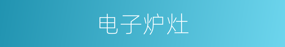 电子炉灶的同义词