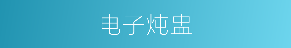 电子炖盅的同义词