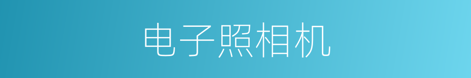 电子照相机的同义词