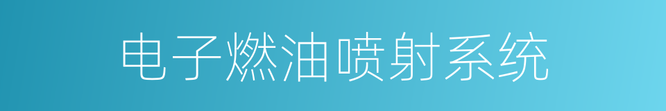 电子燃油喷射系统的同义词
