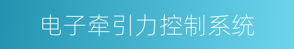 电子牵引力控制系统的同义词