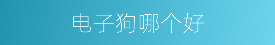 电子狗哪个好的同义词