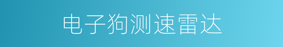 电子狗测速雷达的同义词