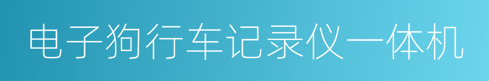 电子狗行车记录仪一体机的同义词