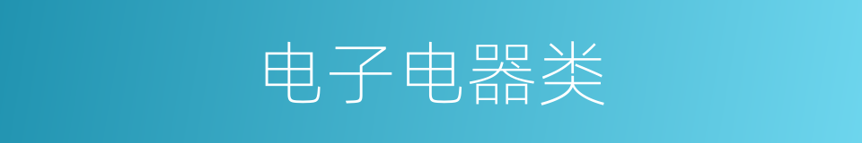 电子电器类的同义词