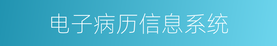 电子病历信息系统的同义词