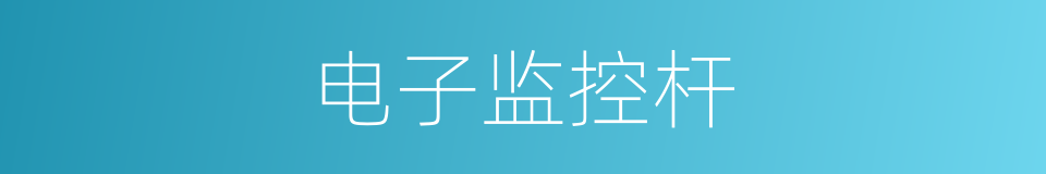 电子监控杆的同义词