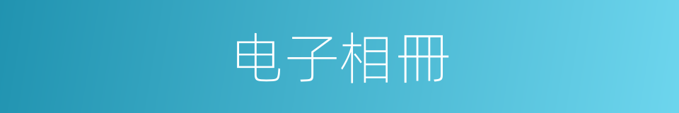 电子相冊的同義詞