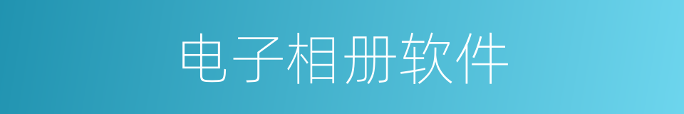 电子相册软件的同义词