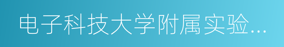 电子科技大学附属实验小学的同义词