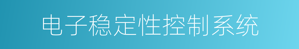 电子稳定性控制系统的同义词